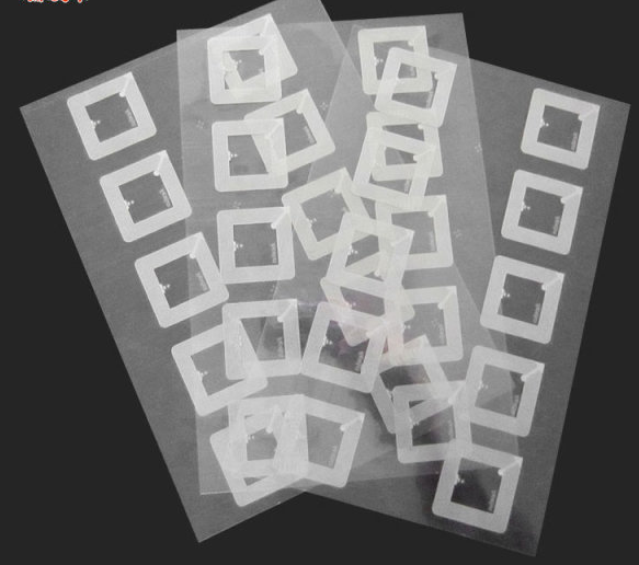 Ultralight EV1��ʴ������о��